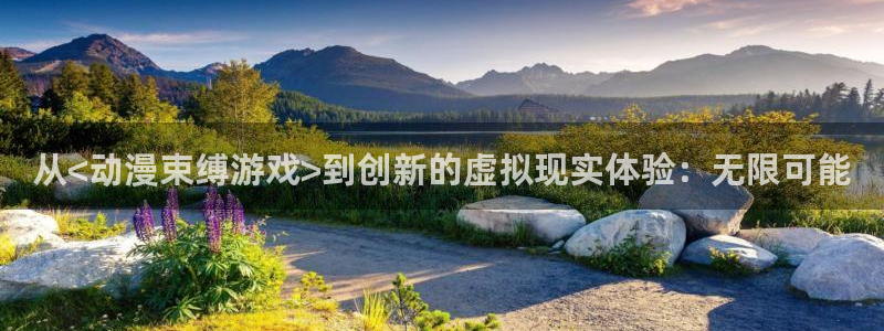 动漫天堂官方正版下载