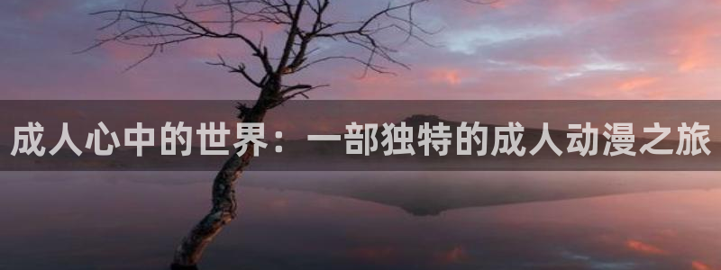 动漫天堂官方正版下载