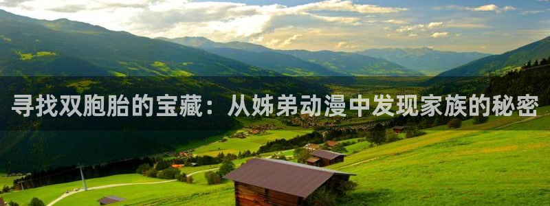 动漫天堂电影：寻找双胞胎的宝藏：从姊弟动漫中发现家族的秘密