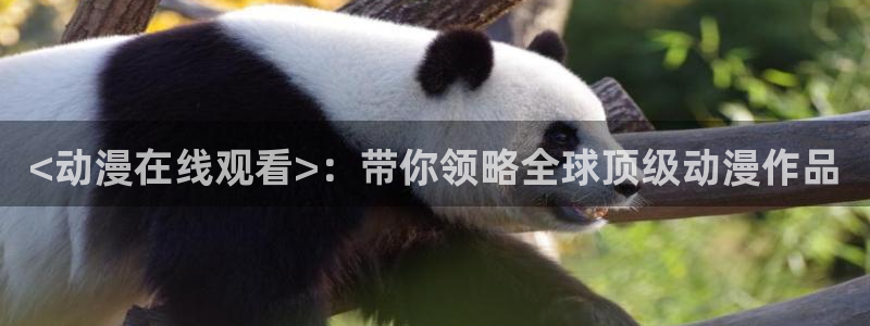 黄动漫天堂：<动漫在线观看>：带你领略全球顶级动漫作品