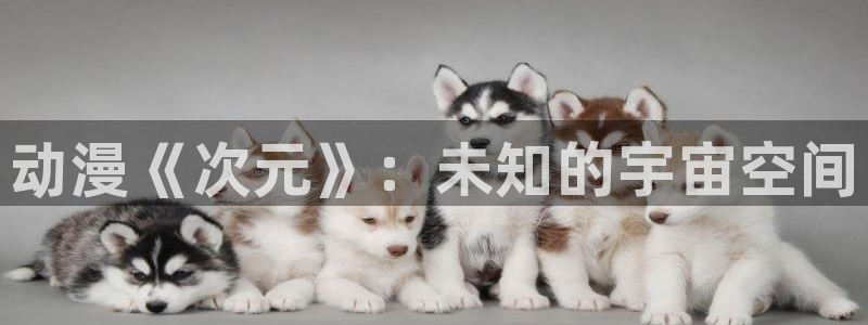 动漫天堂软件：动漫《次元》：未知的宇宙空间