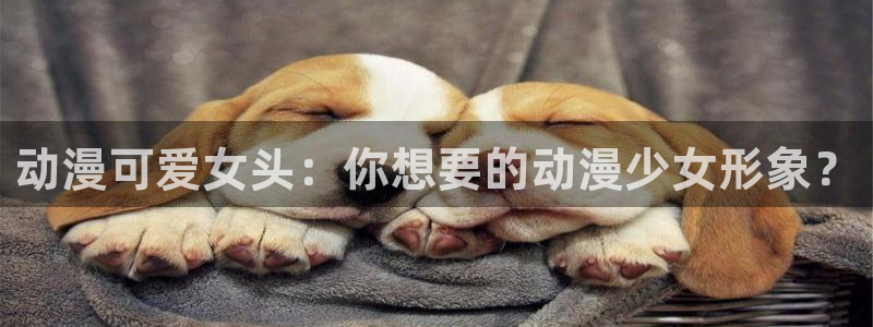 内地动漫天堂：动漫可爱女头：你想要的动漫少女形象？