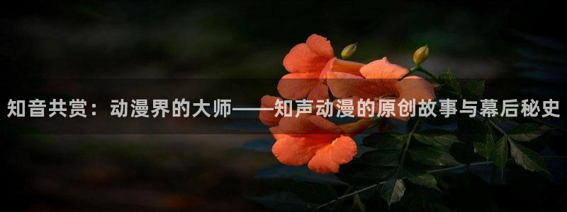 番剧推荐动漫天堂.：知音共赏：动漫界的大师——知声动漫的原创故事与幕后秘史