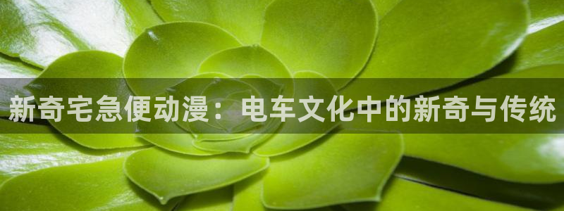 动漫天堂下载正版：新奇宅急便动漫：电车文化中的新奇与传统
