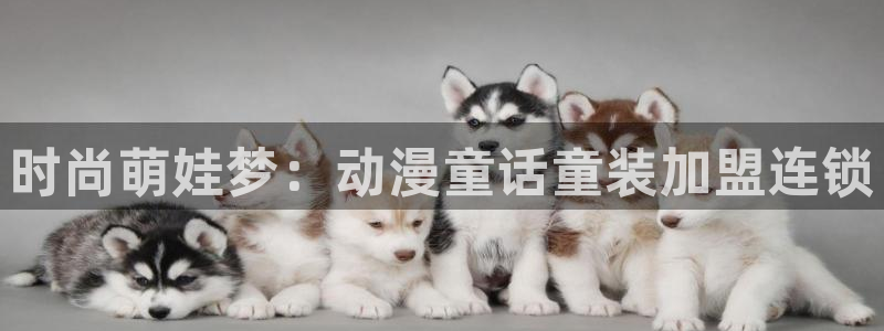 原神禁动漫天堂可莉：时尚萌娃梦：动漫童话童装加盟连锁