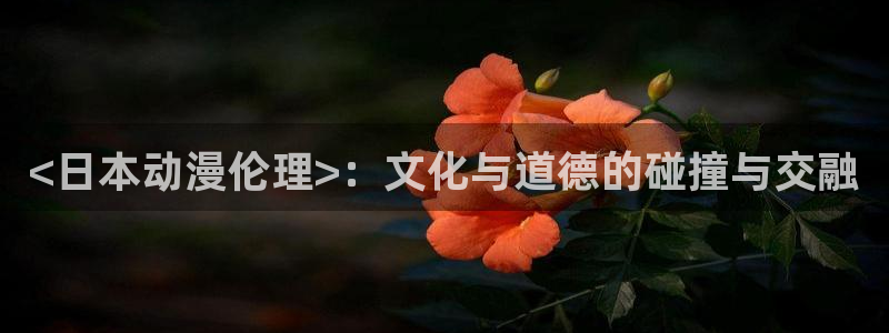 动漫天堂软件：<日本动漫伦理>：文化与道德的碰撞与交融