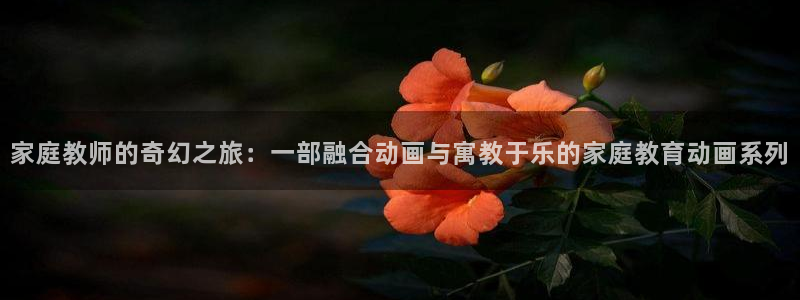 动漫天堂18：家庭教师的奇幻之旅：一部融合动画与寓教于乐的家庭教育动画系列