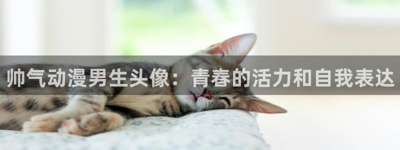 樱花动漫天堂：帅气动漫男生头像：青春的活力和自我表达