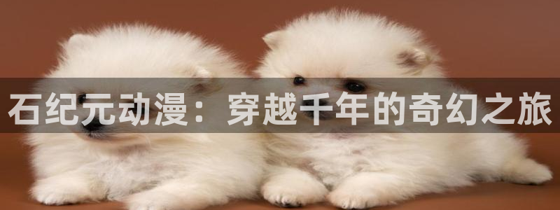 18动漫天堂：石纪元动漫：穿越千年的奇幻之旅