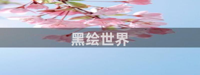 动漫天堂软件：黑绘世界