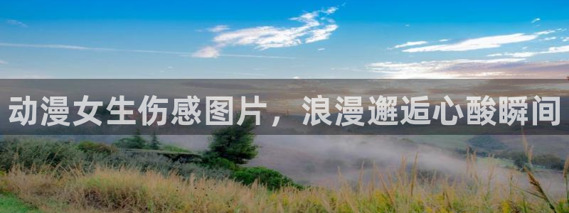 动漫天堂下载官方：动漫女生伤感图片，浪漫邂逅心酸瞬间