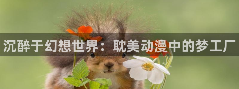 同人动漫天堂：沉醉于幻想世界：耽美动漫中的梦工厂