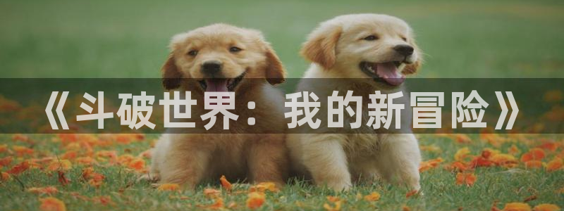 动漫天堂之吻：《斗破世界：我的新冒险》