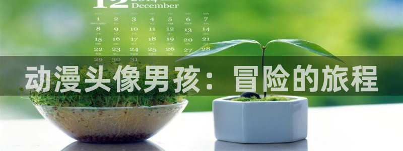 动漫天堂软件：动漫头像男孩：冒险的旅程
