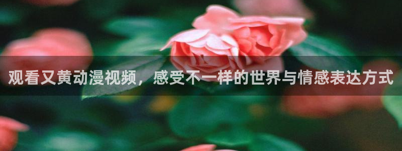 亚洲动漫天堂：观看又黄动漫视频，感受不一样的世界与情感表达方式