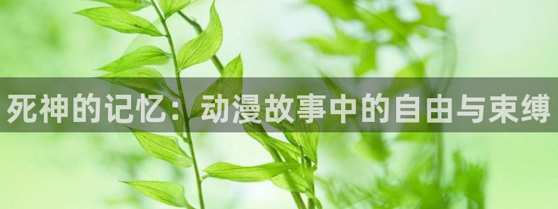 动漫天堂下载正版：死神的记忆：动漫故事中的自由与束缚