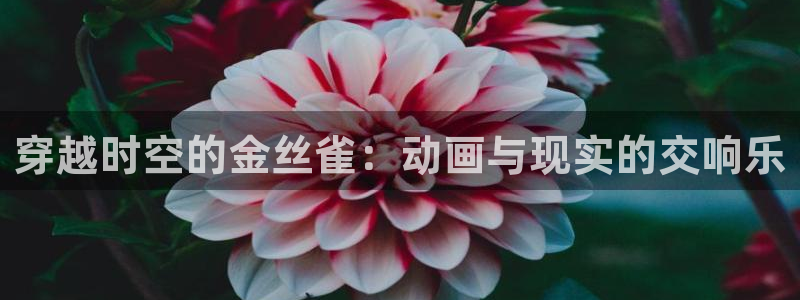 动漫天堂电影：穿越时空的金丝雀：动画与现实的交响乐