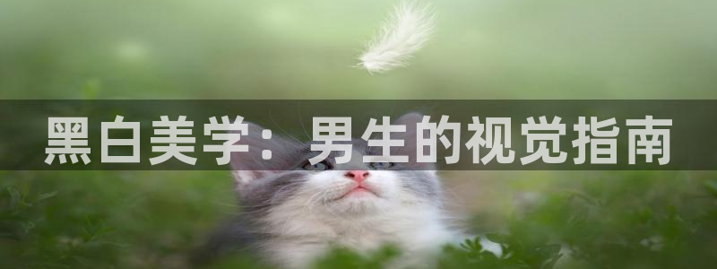 jk动漫天堂：黑白美学：男生的视觉指南