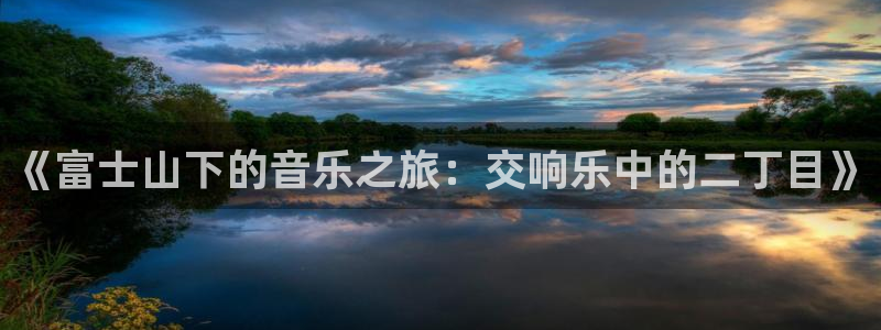 免费a漫动漫天堂.：《富士山下的音乐之旅：交响乐中的二丁目》