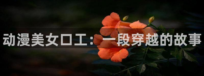 成人动漫天堂网：动漫美女口工：一段穿越的故事