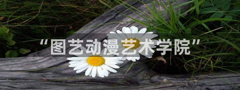 动漫天堂免费：“图艺动漫艺术学院”