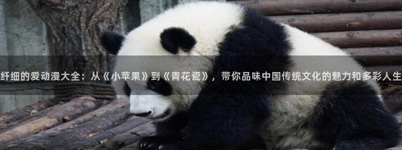 动漫天堂网站：纤细的爱动漫大全：从《小苹果》到《青花瓷》，带你品味中国传统文化的魅力和多彩人生