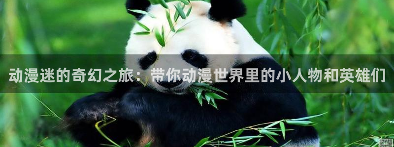 禁漫动漫天堂：动漫迷的奇幻之旅：带你动漫世界里的小人物和英雄们