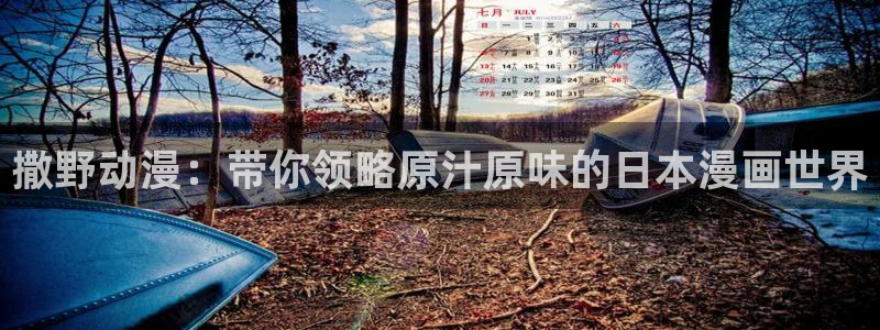 动漫天堂官方正版下载：撒野动漫：带你领略原汁原味的日本漫画世界