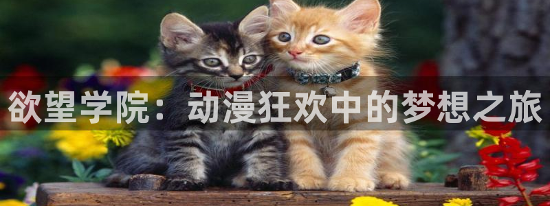 成人动漫天堂网：欲望学院：动漫狂欢中的梦想之旅