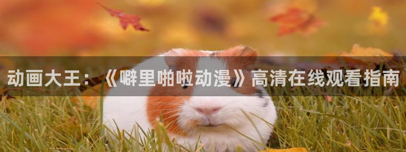 动漫天堂下载：动画大王：《噼里啪啦动漫》高清在线观看指南