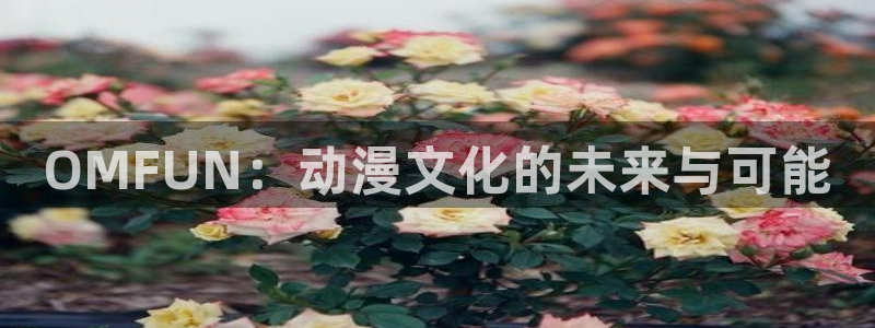 动漫天堂下载最新版：OMFUN：动漫文化的未来与可能